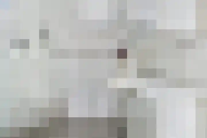 Welheugte 17 Assen thumbnail 27