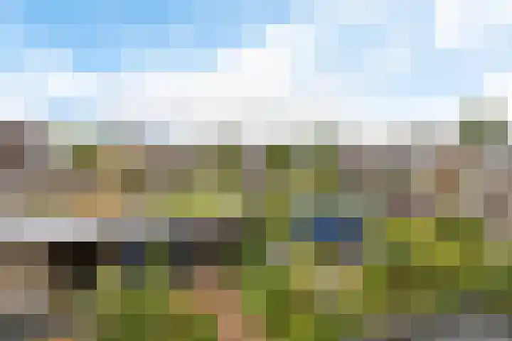 Welheugte 17 Assen thumbnail 40