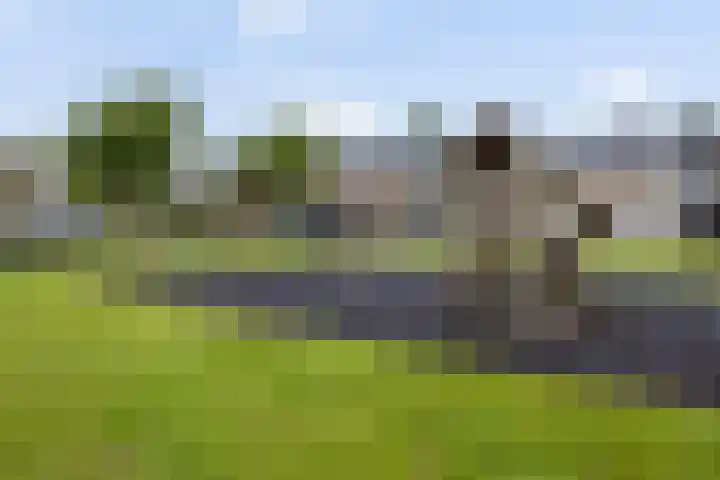 Welheugte 17 Assen thumbnail 42