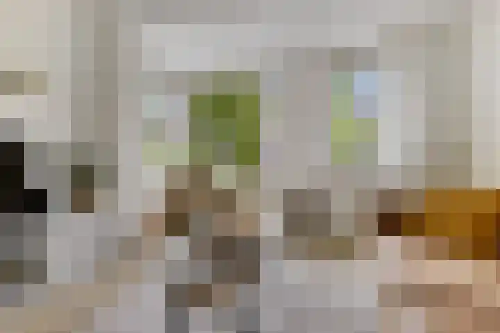 Welheugte 17 Assen thumbnail 6