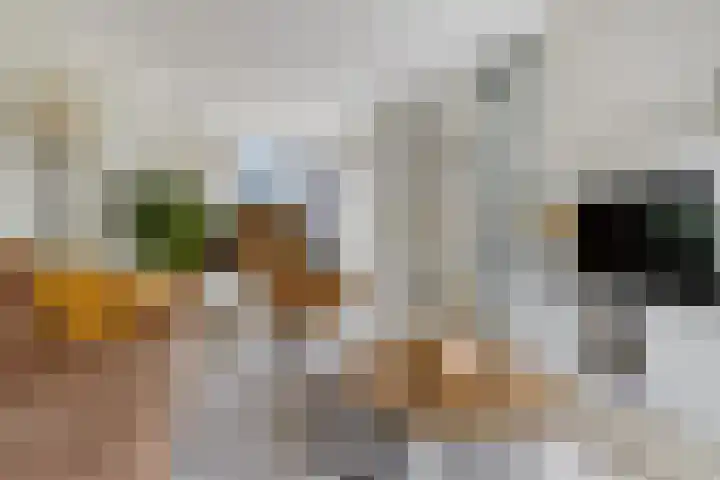 Welheugte 17 Assen thumbnail 7
