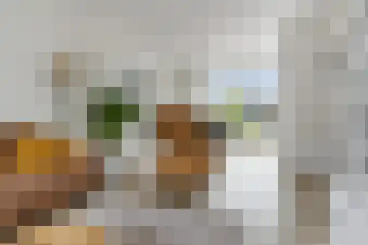 Welheugte 17 Assen thumbnail 8