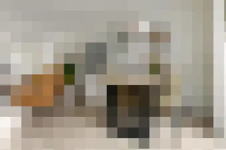 Welheugte 17 Assen thumbnail 9