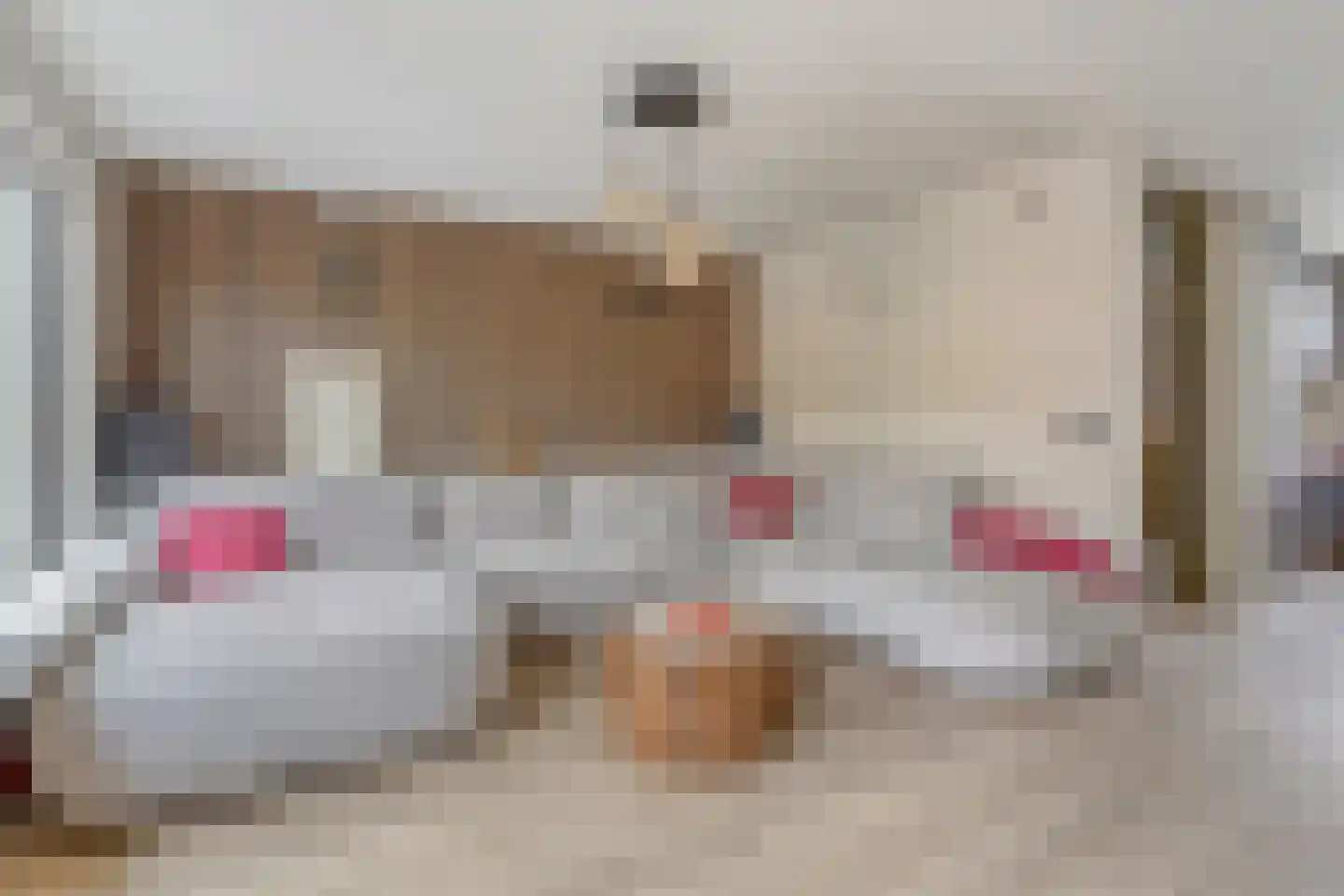 Welheugte 32 Assen thumbnail 10