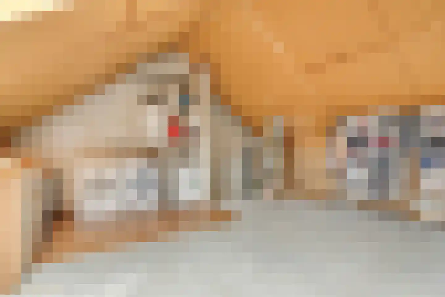 Welheugte 32 Assen thumbnail 30