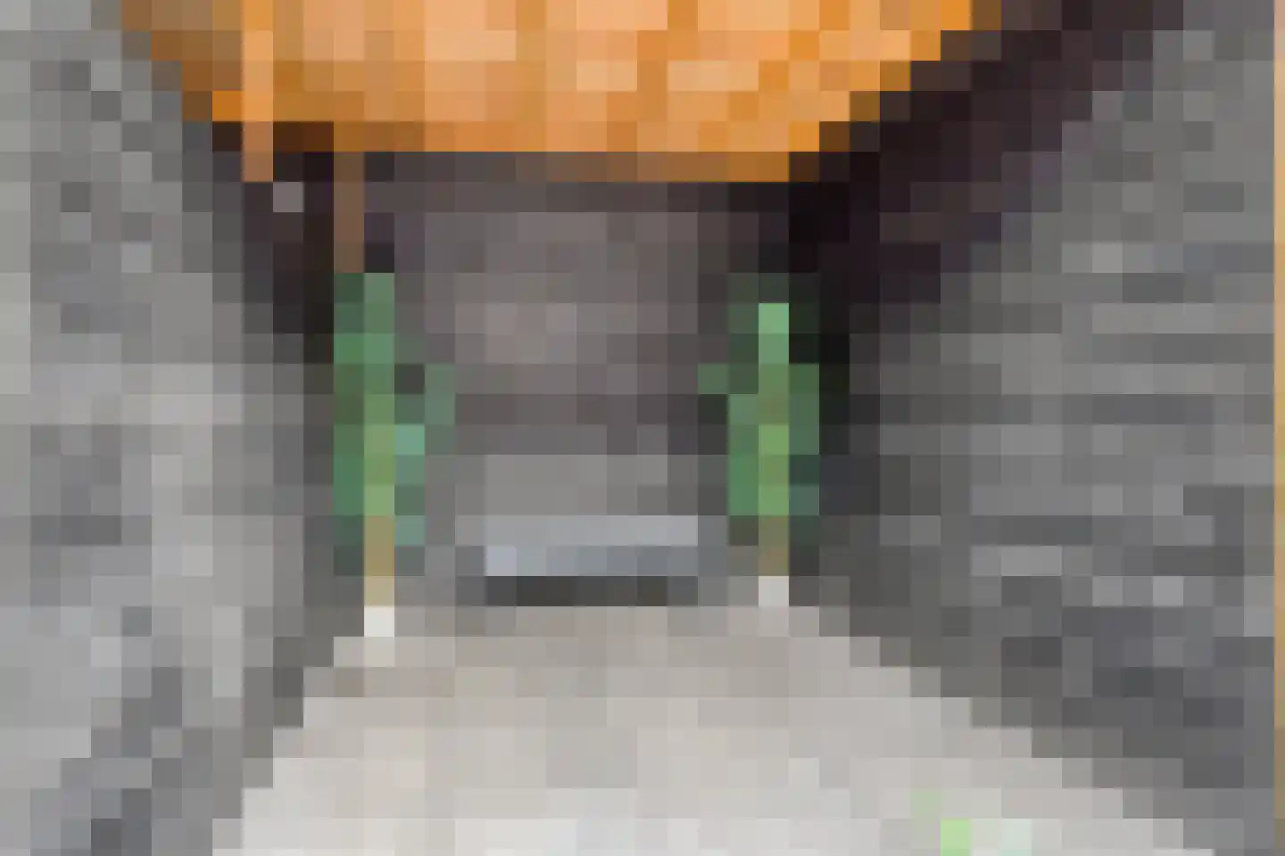 Welheugte 32 Assen thumbnail 36