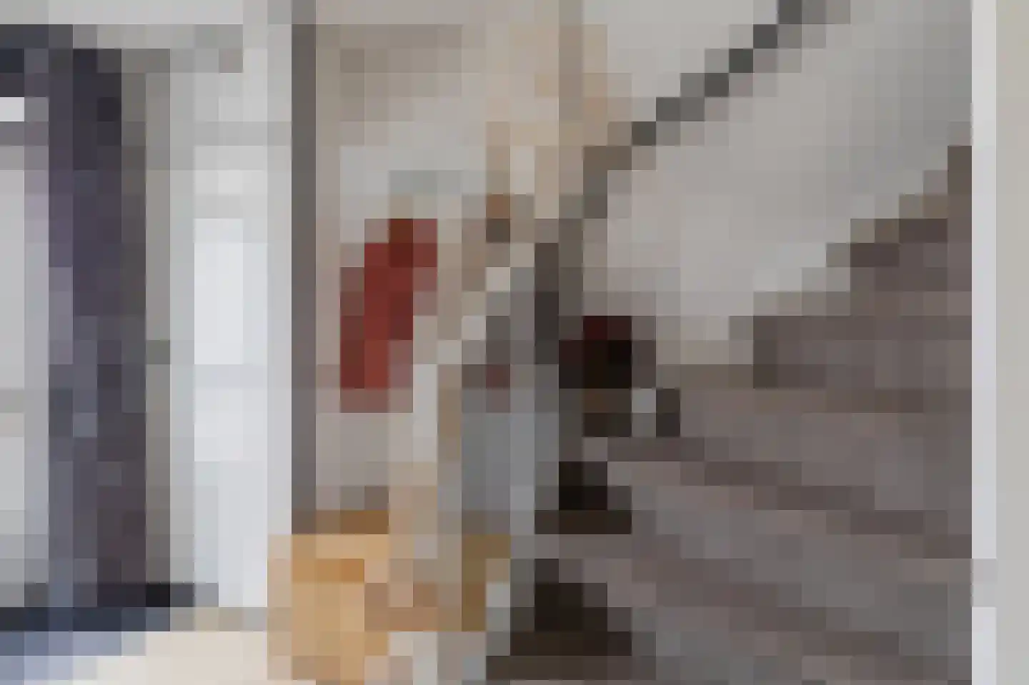 Welheugte 6 Assen thumbnail 11