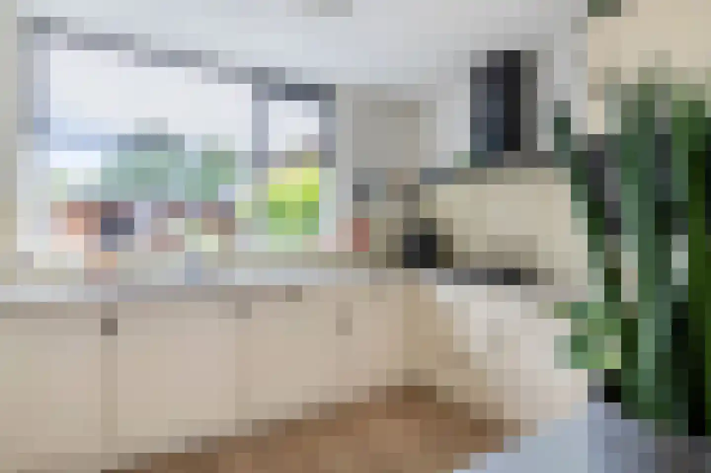Welheugte 6 Assen thumbnail 12