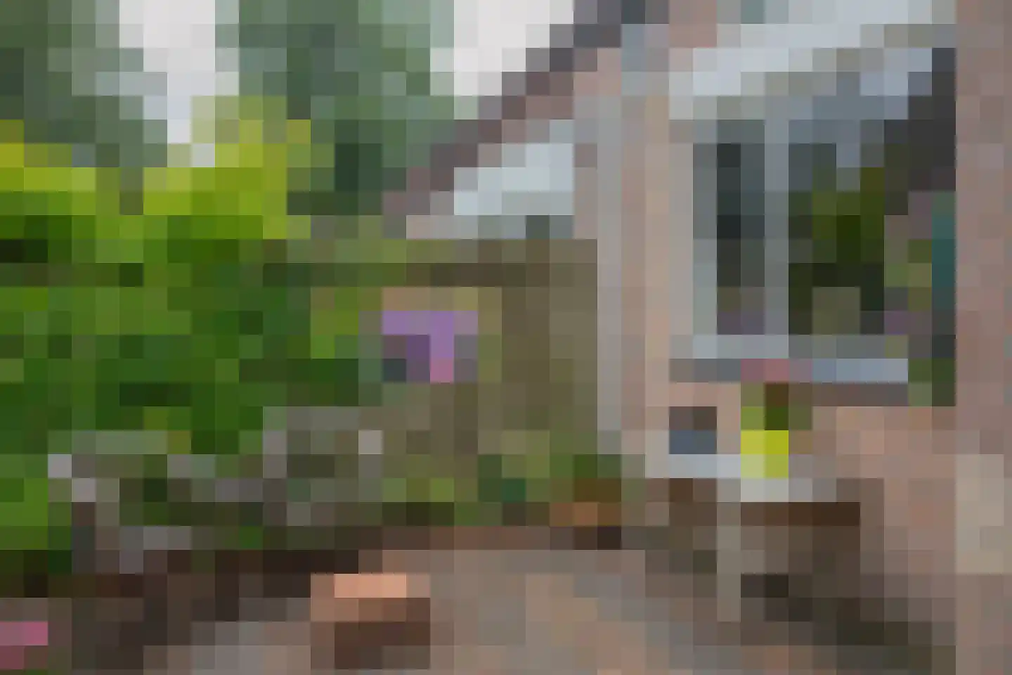 Welheugte 6 Assen thumbnail 30