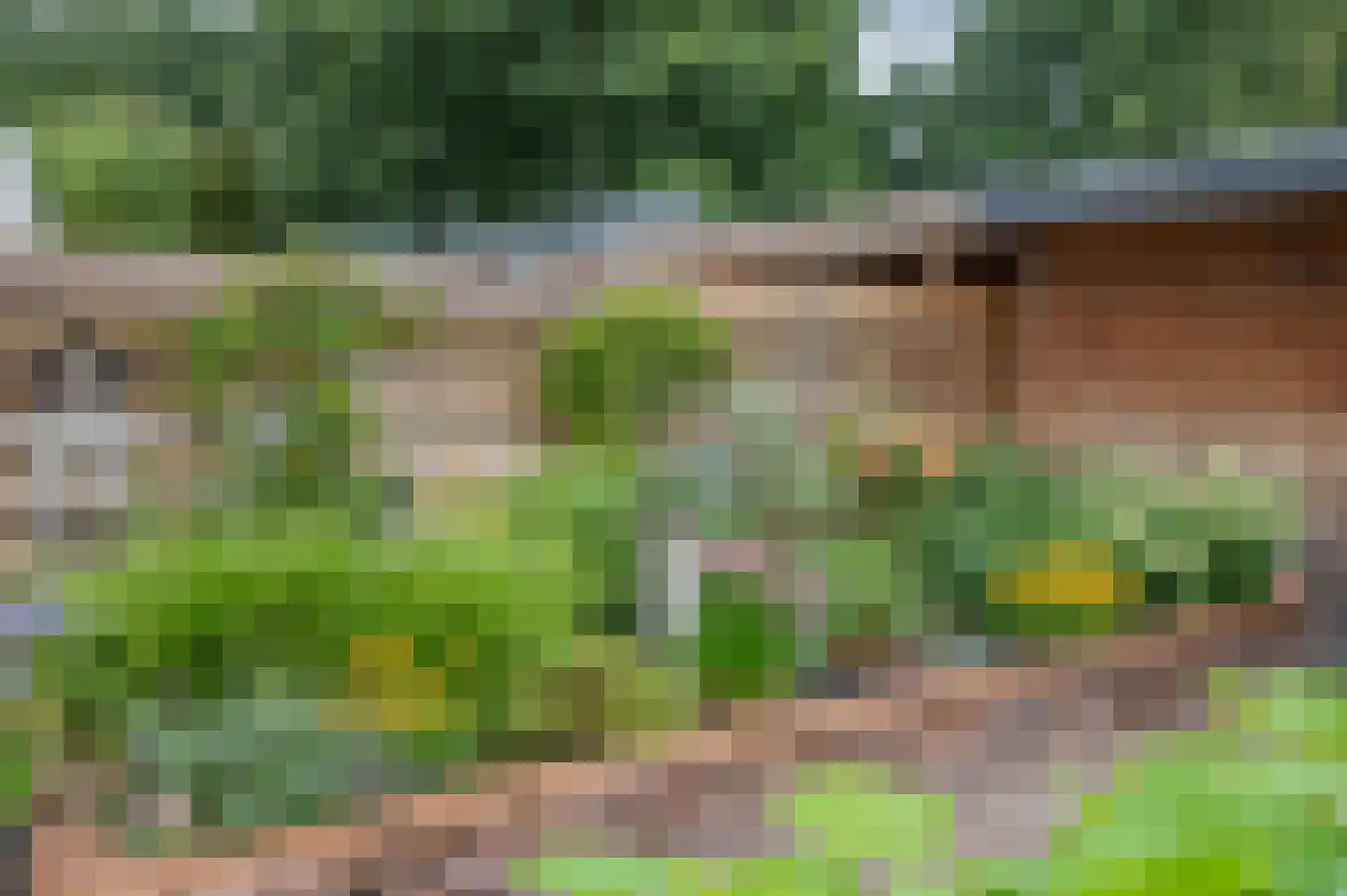 Welheugte 6 Assen thumbnail 32