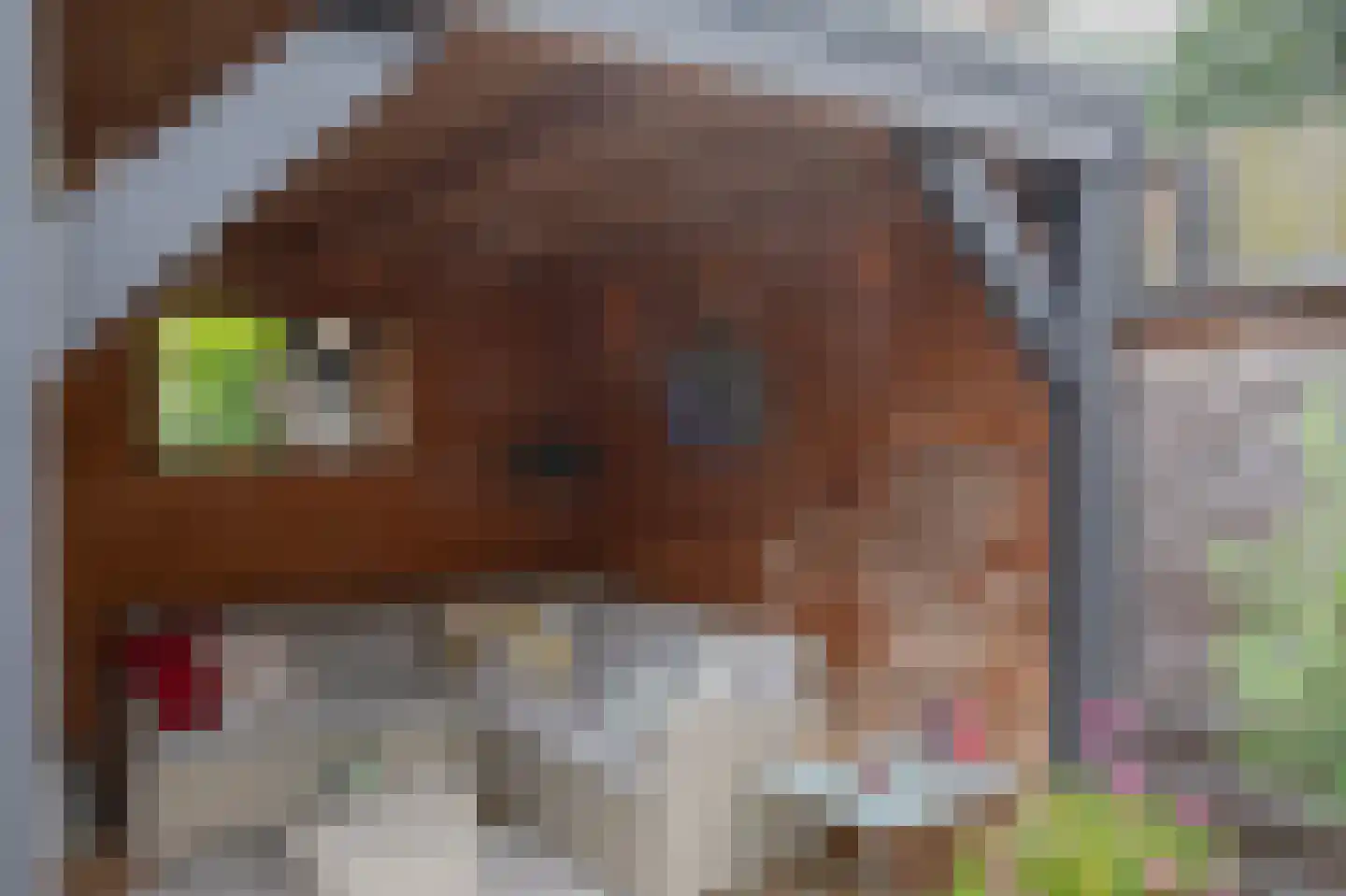 Welheugte 6 Assen thumbnail 34