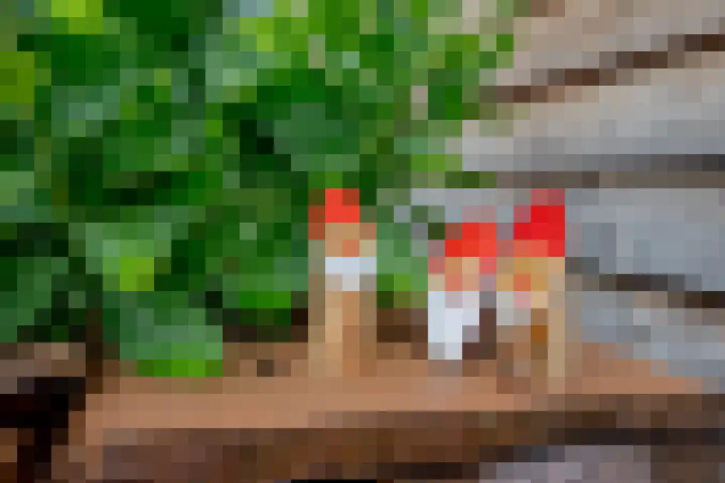 Welheugte 6 Assen thumbnail 36
