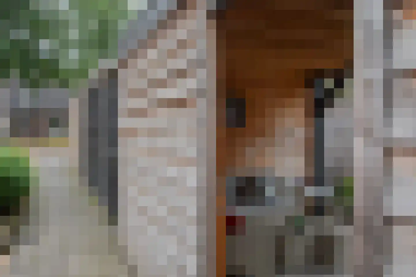 Welheugte 6 Assen thumbnail 37