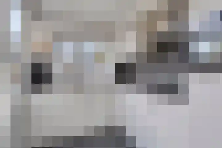 Welhoeckstraat 21 Delft thumbnail 9