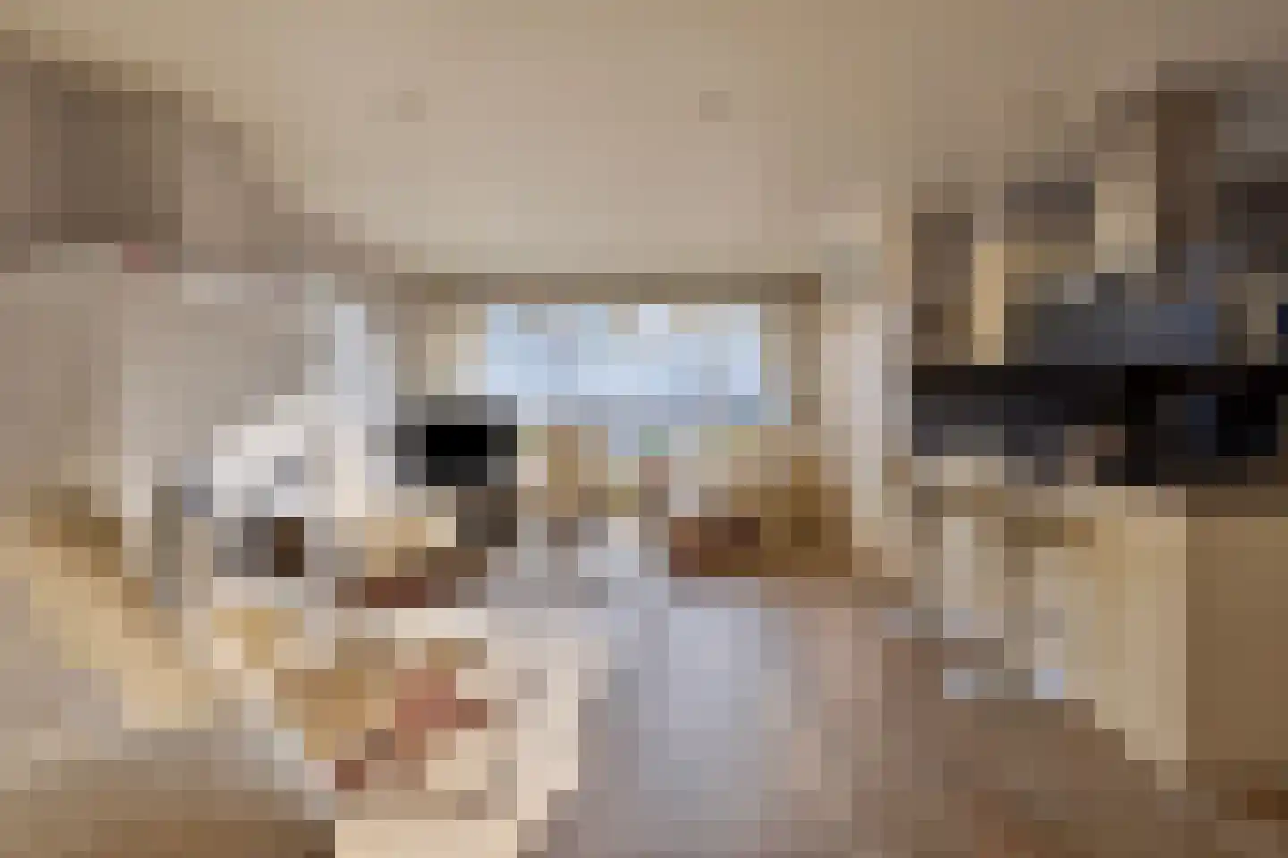 Welhoeksedijk 18 Poortugaal thumbnail 10