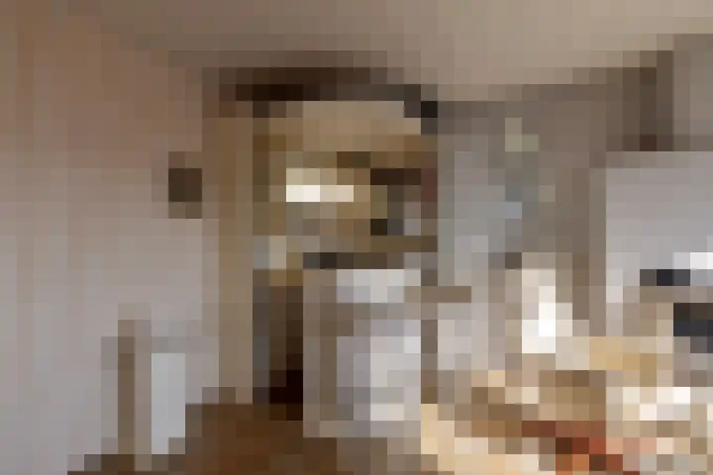 Welhoeksedijk 18 Poortugaal thumbnail 13