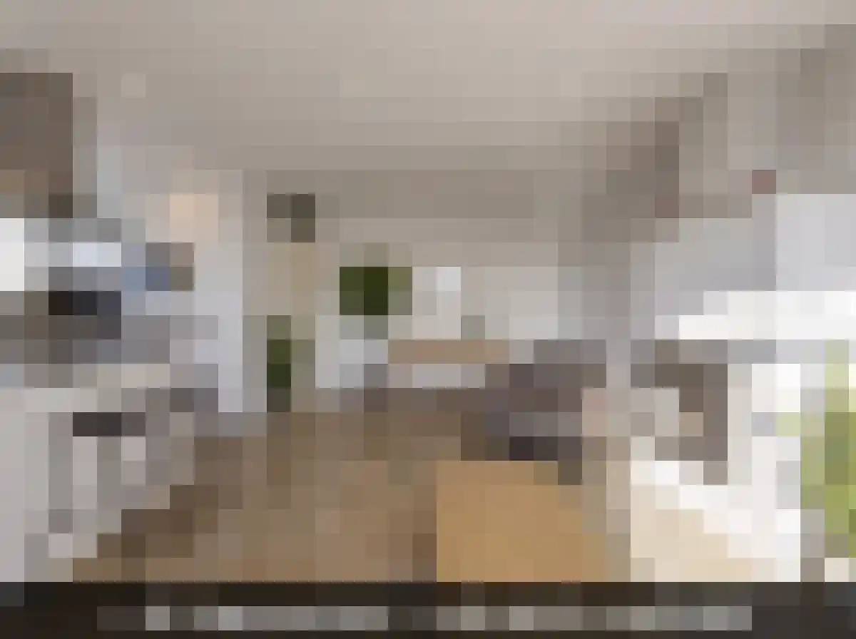 Welhoeksedijk 18 Poortugaal thumbnail 5