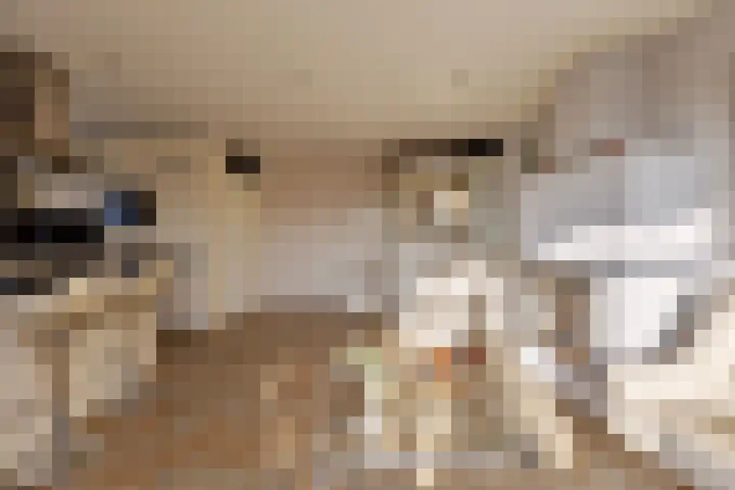 Welhoeksedijk 18 Poortugaal thumbnail 6