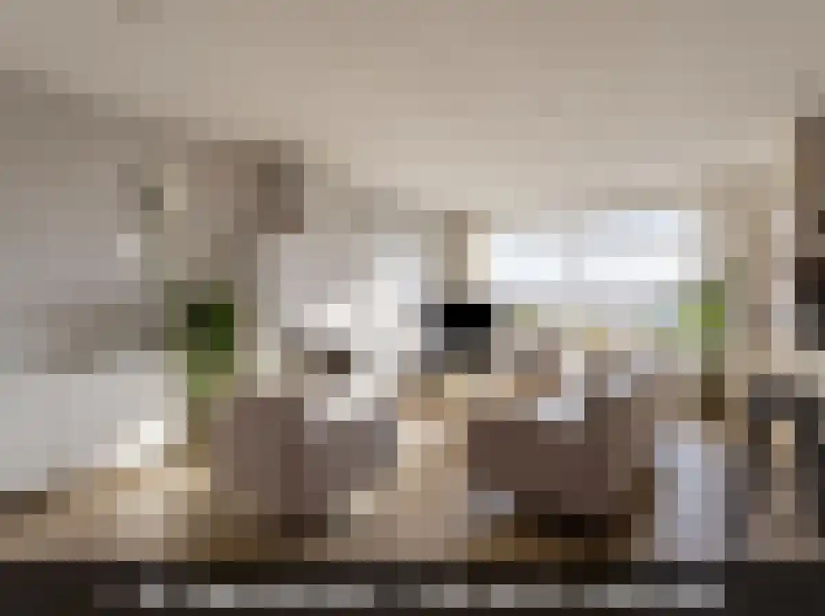 Welhoeksedijk 18 Poortugaal thumbnail 7