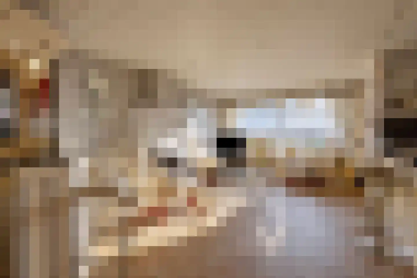 Welhoeksedijk 18 Poortugaal thumbnail 8