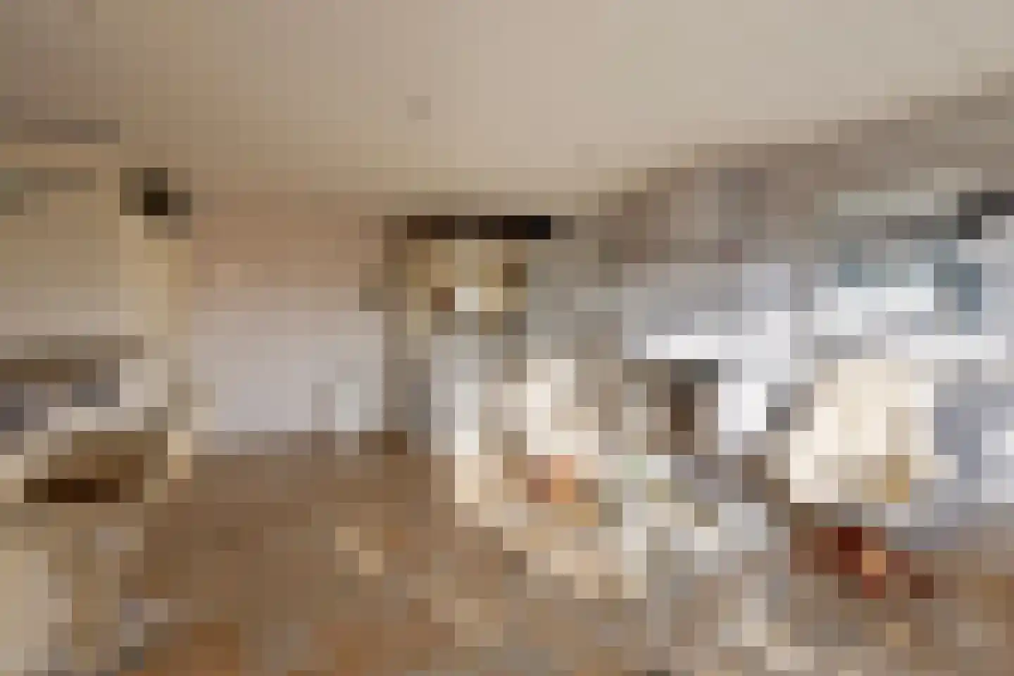 Welhoeksedijk 18 Poortugaal thumbnail 9
