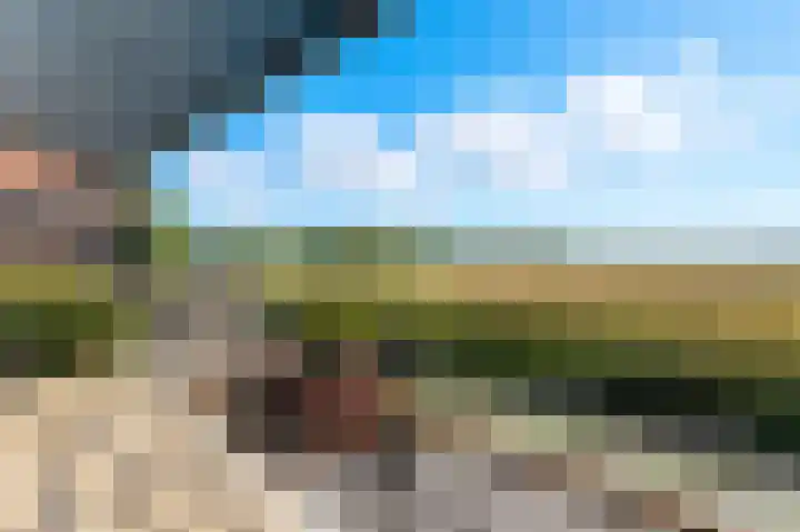 Welhoeksedijk 29 Poortugaal thumbnail 13