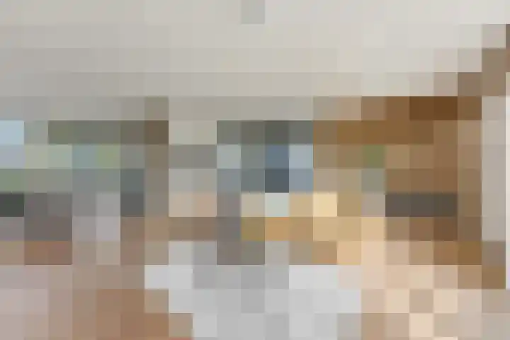 Welhoeksedijk 29 Poortugaal thumbnail 18