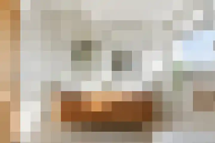 Welhoeksedijk 29 Poortugaal thumbnail 31