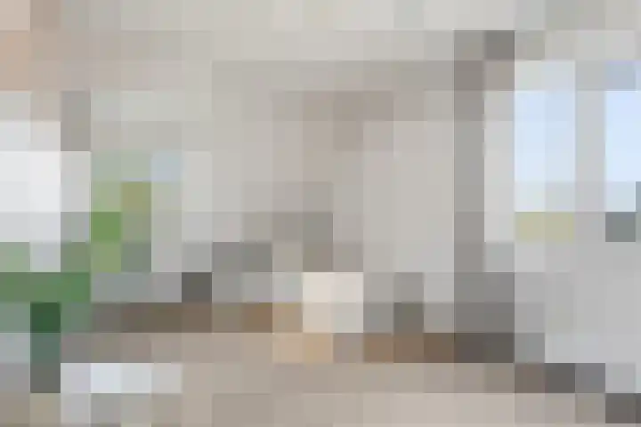 Welhoeksedijk 29 Poortugaal thumbnail 39