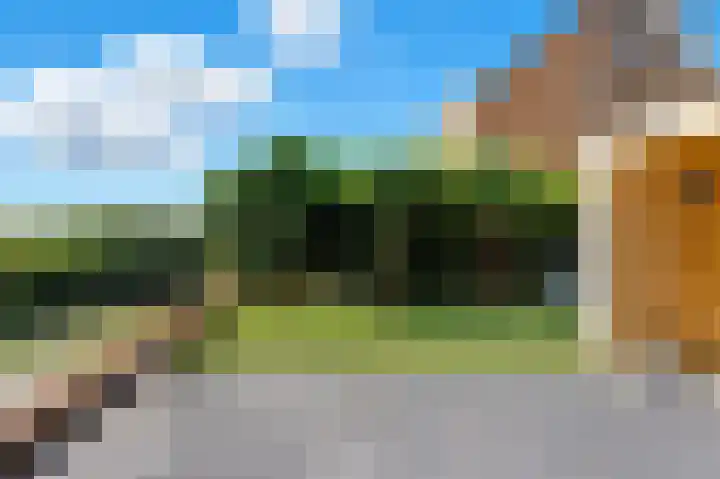 Welhoeksedijk 29 Poortugaal thumbnail 47
