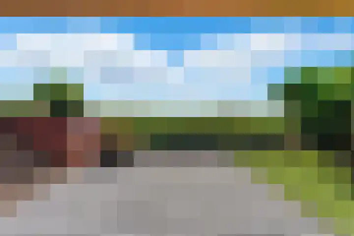 Welhoeksedijk 29 Poortugaal thumbnail 51