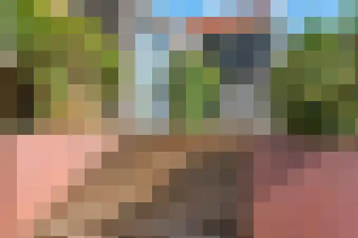 Welhoeksedijk 29 Poortugaal thumbnail 52