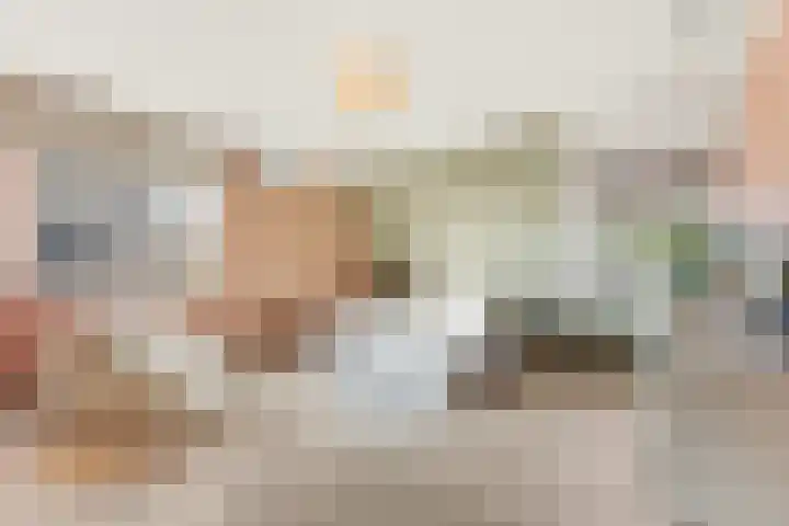 Welhoeksedijk 29 Poortugaal thumbnail 6