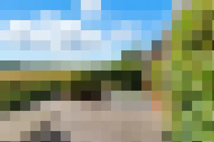 Welhoeksedijk 29 Poortugaal thumbnail 7