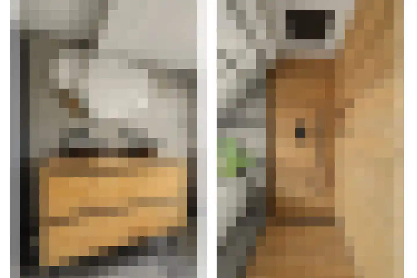 Welhoekstraat 13 Kruiningen thumbnail 27