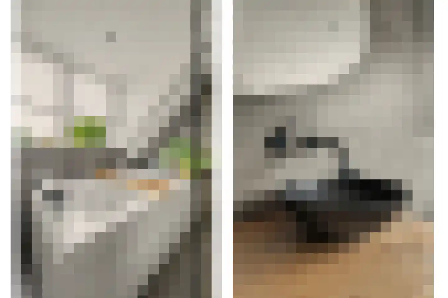 Welhoekstraat 13 Kruiningen thumbnail 28