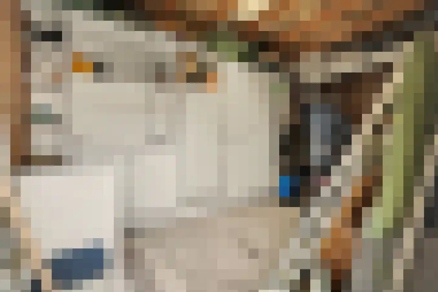 Welhoekstraat 13 Kruiningen thumbnail 30