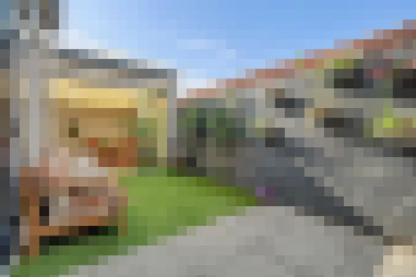 Welhoekstraat 13 Kruiningen thumbnail 32