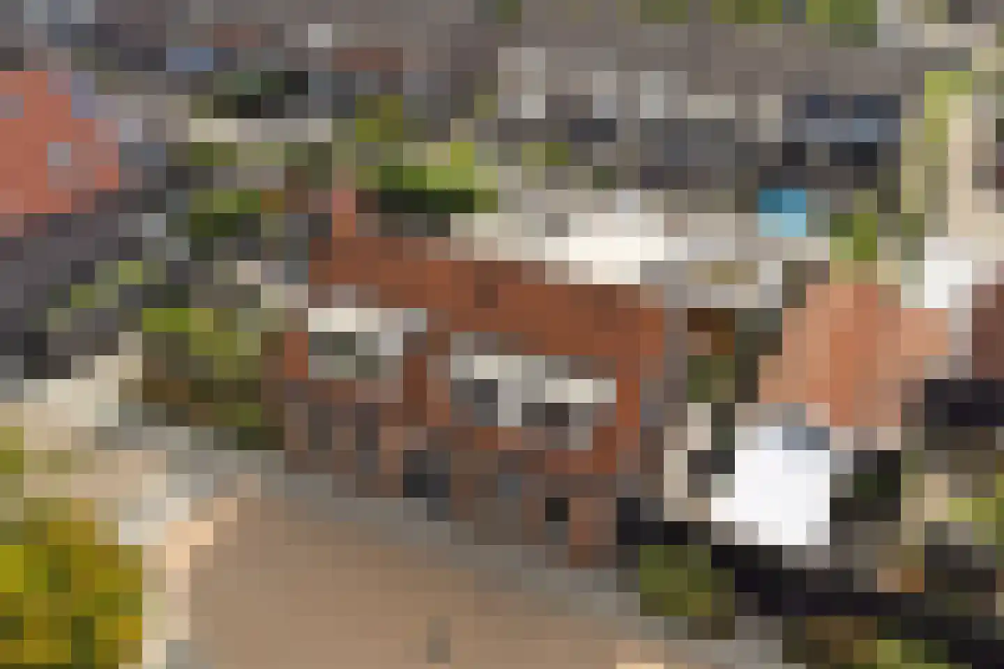 Welhoekstraat 13 Kruiningen thumbnail 36