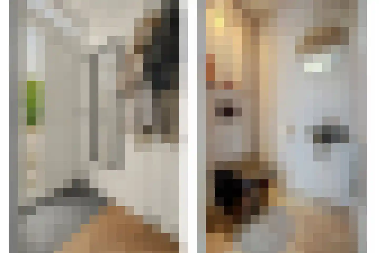 Welhoekstraat 13 Kruiningen thumbnail 6