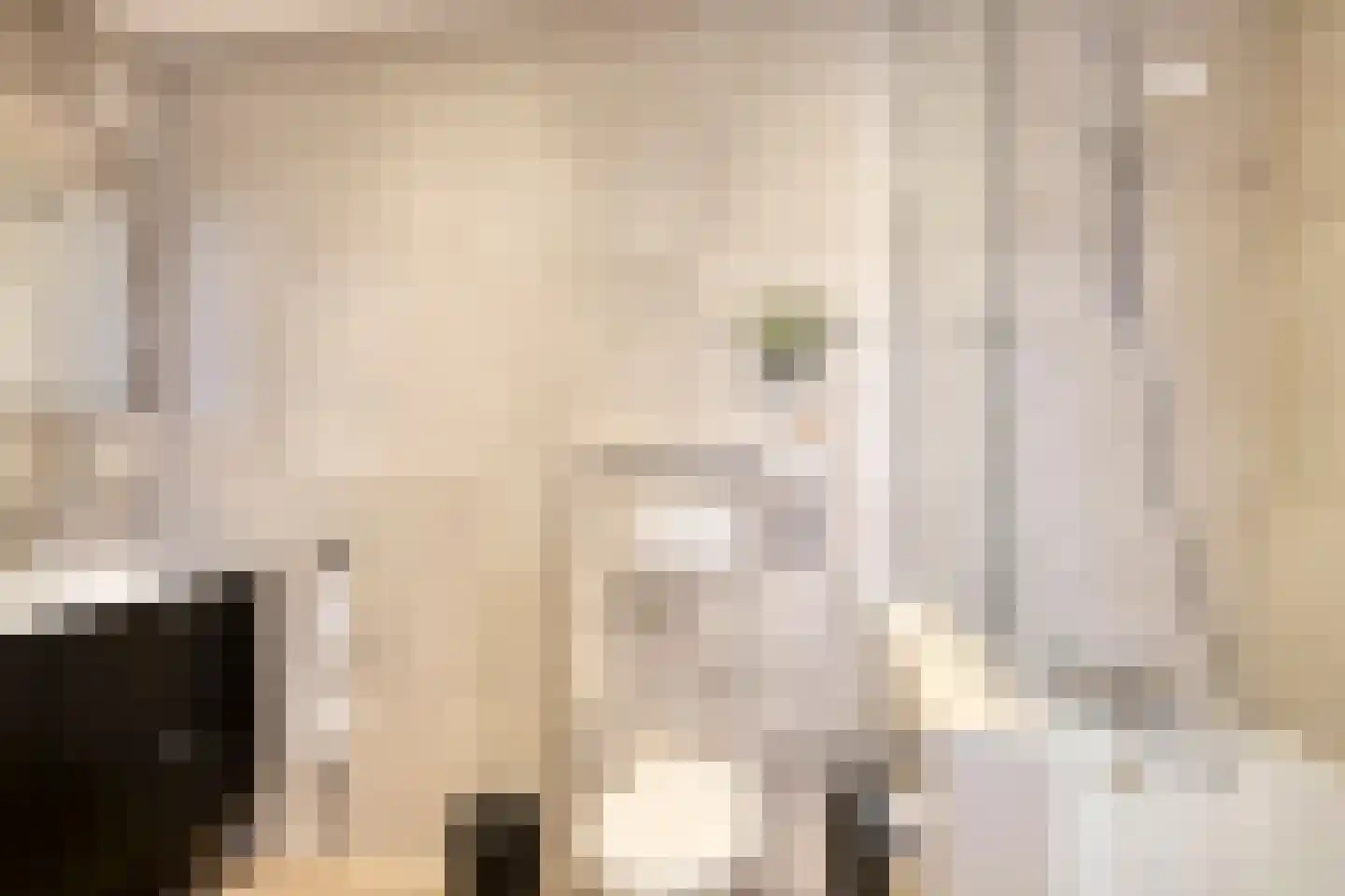 Welhoekstraat 21 Kruiningen thumbnail 20