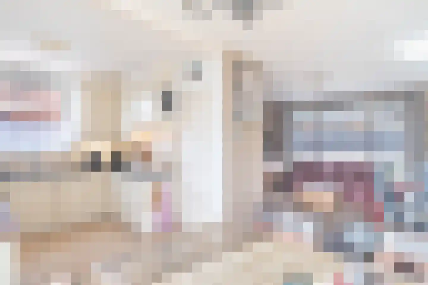 Welhoekstraat 25 Kruiningen thumbnail 12