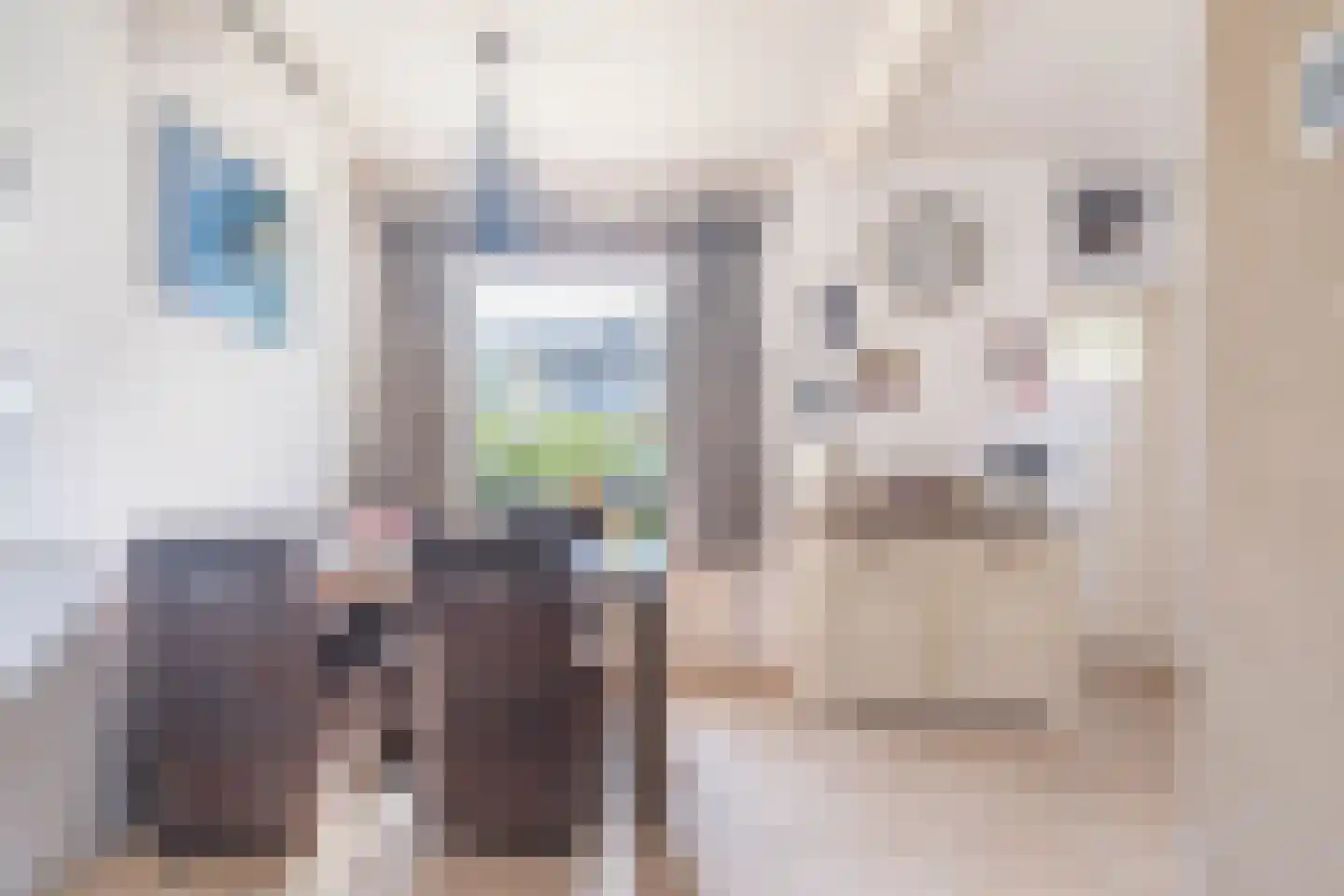 Welhoekstraat 25 Kruiningen thumbnail 14