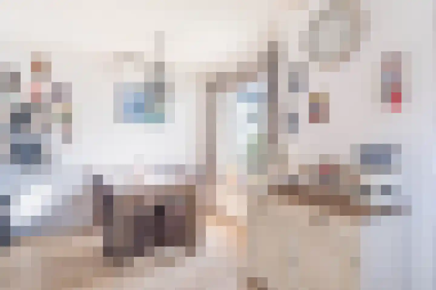 Welhoekstraat 25 Kruiningen thumbnail 16