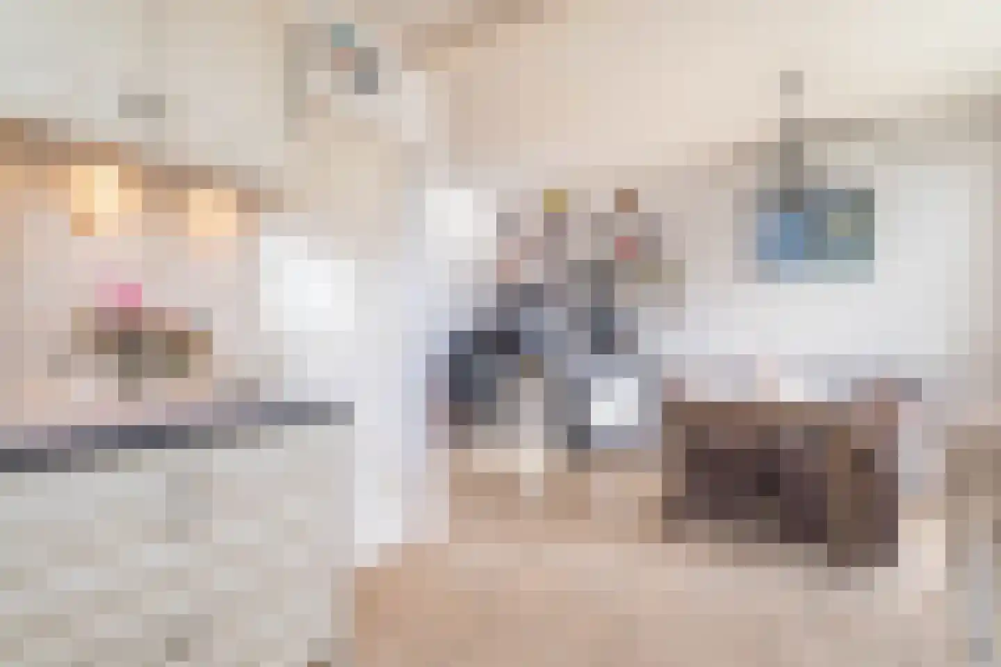 Welhoekstraat 25 Kruiningen thumbnail 17