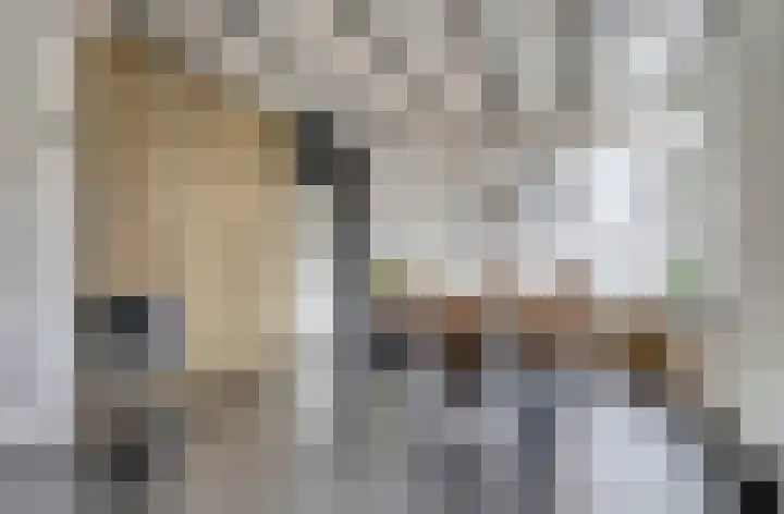 Welhoekstraat 32 Kruiningen thumbnail 11