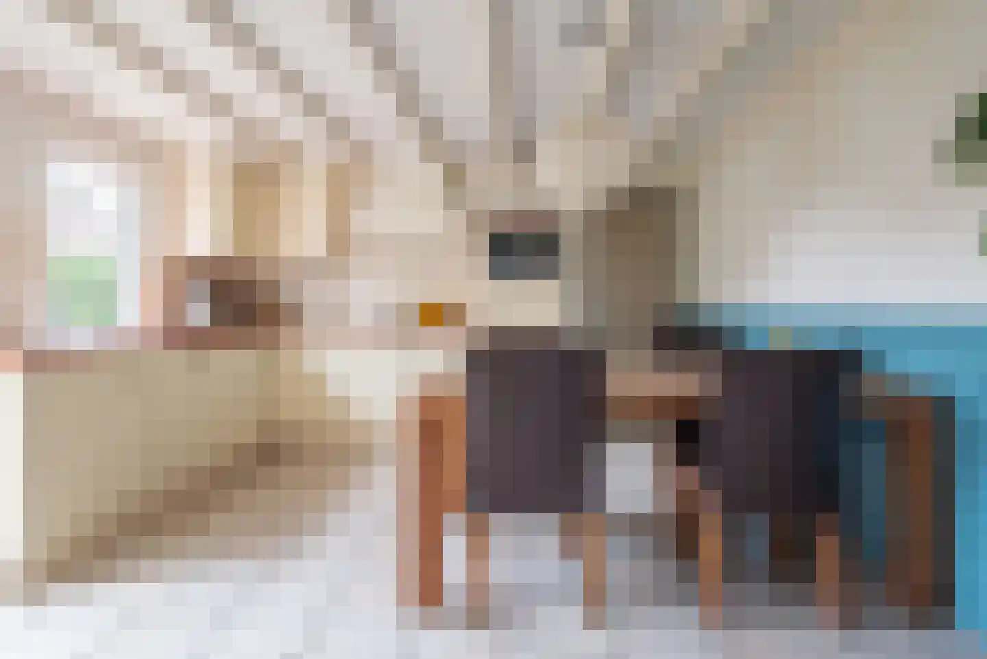 Welinkweg 26 Dinxperlo thumbnail 15