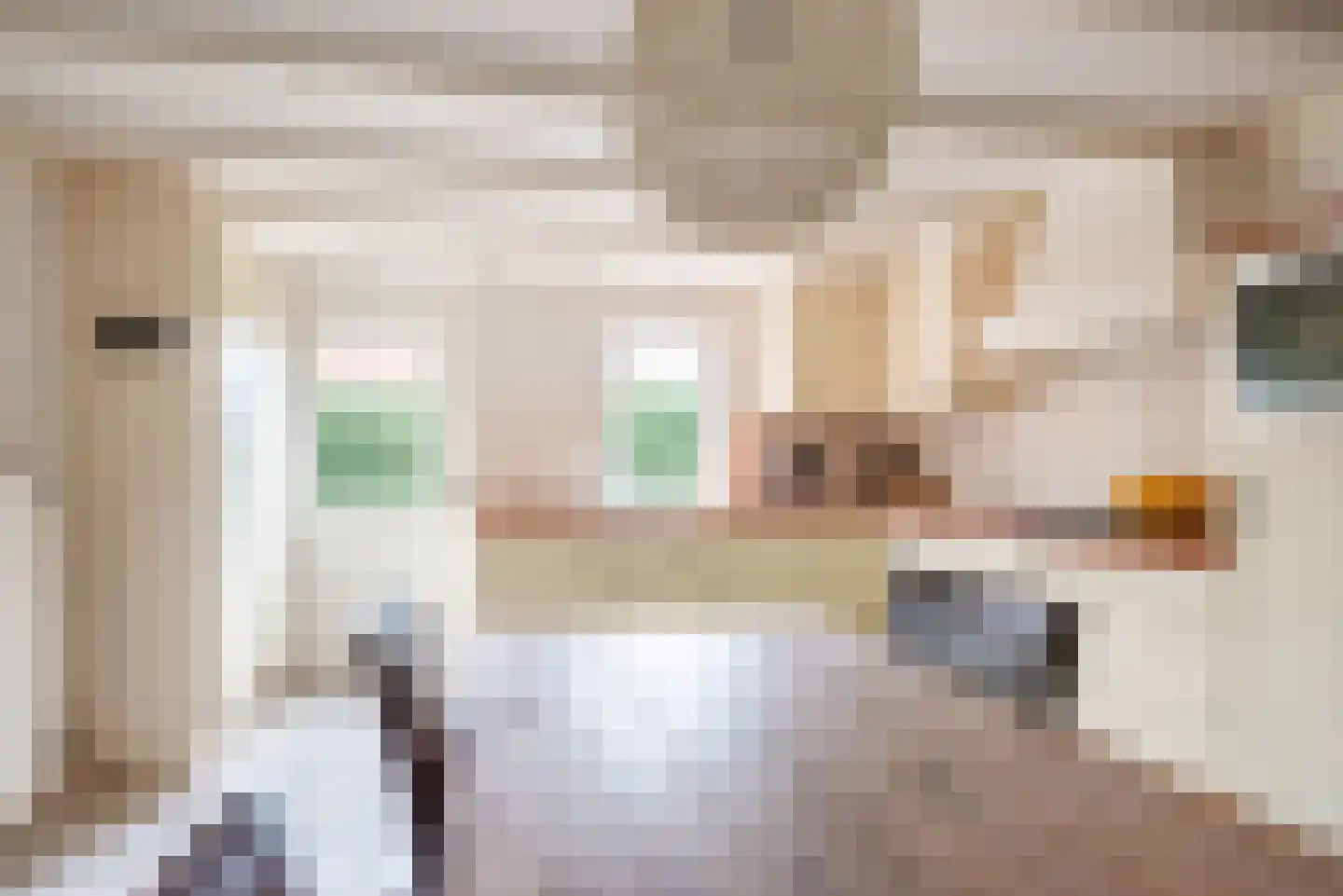 Welinkweg 26 Dinxperlo thumbnail 19