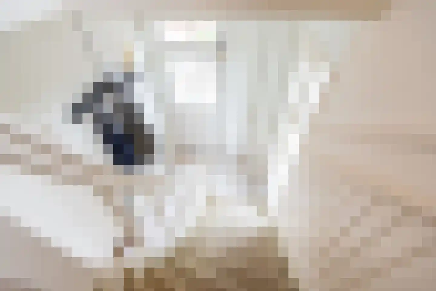 Welinkweg 26 Dinxperlo thumbnail 27
