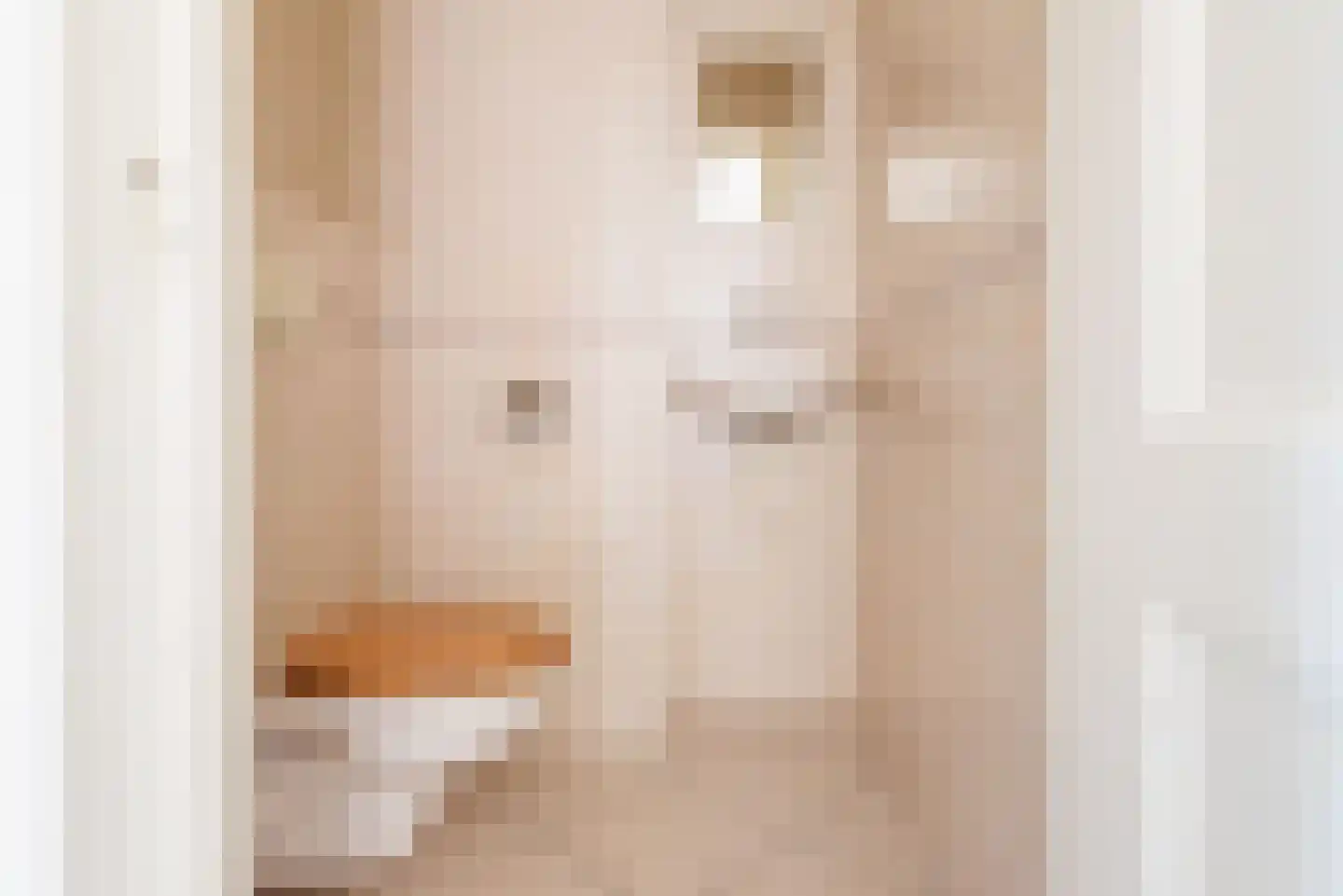 Welinkweg 26 Dinxperlo thumbnail 34